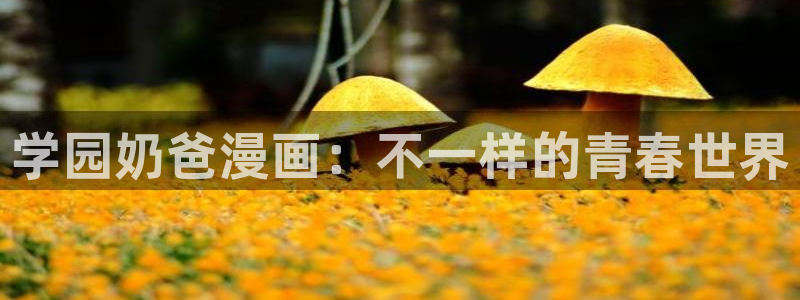 耽耽漫网：学园奶爸漫画：不一样的青春世界