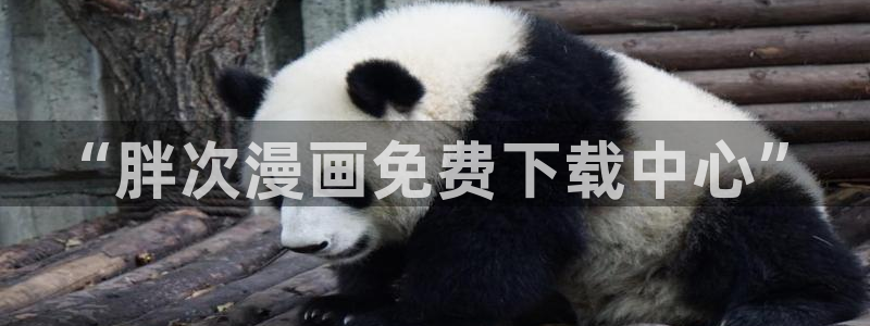 耽漫网值得收藏的书下拉式