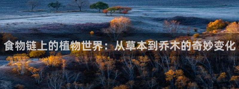 耽漫网最新小说推荐