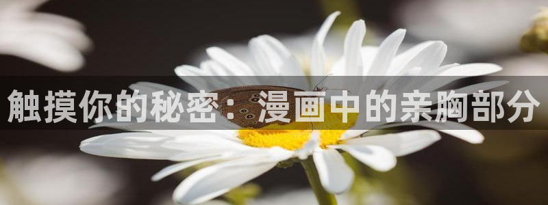 免费耽漫网：触摸你的秘密：漫画中的亲胸部分