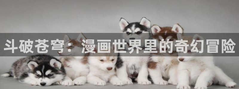 耽漫网之家最新章节更新：斗破苍穹：漫画世界里的奇幻冒险
